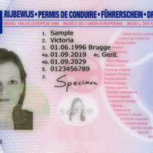 Buy Belgium Driving License Online - Valid for 10 Years