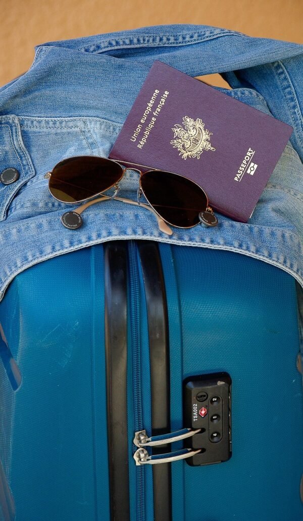 French Passport (Biometric Schengen) French Passport (Biometric Schengen)